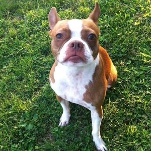 Meet your Posher, Patrick